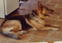 Janka