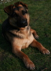 Cora aus Ragow