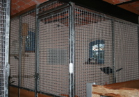 Katzenpension Box 2