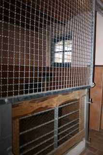 Katzenpension Box 3